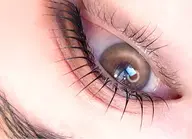 【限定クーポン】今圧倒的大人気!!パリジェンヌラッシュリフト