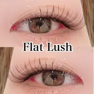 《平日限定★》フラットラッシュ120本【オフ無料】5500円