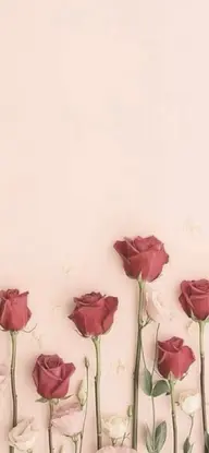 🌸着付け(振袖.袴)🌸