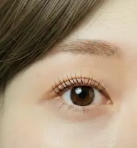 パリジェンヌラッシュリフト🕊️ 根元からしっかり立ち上げます✨