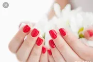 ネイルハンドワンカラー