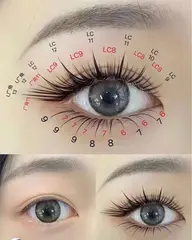 猫系ワンホンボリュームラッシュノーマル