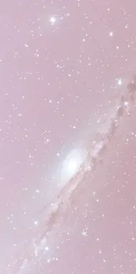 🌱自店　ハンドジェルオフ