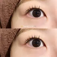 【🐶人気No.1☝🏻‪‪】まつげパーマ🥂‎꙳⟡ 4種類のカールの中からお選びいただけます💘