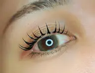 ☆minimo限定クーポン☆フラットラッシュ120本🍄選べる3種のコーティング＆オフ込み♪