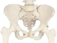 新規　骨盤矯正【3か所セット】骨盤・猫背・O脚など　50分8800円→7700円