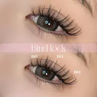 【新規限定】バインドロック 80束　【オフ込】