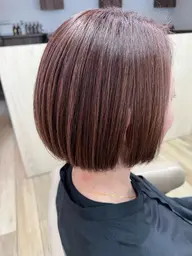 ✂️レディースカット✂️【ボブ、ミディアム】