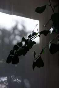 men's 🚹 パーソナルカラー診断◇データ特典付き🪄🪄セカンドカラー診断・ベーシックカラーのご提案