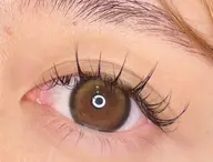 ⭐️今話題⭐️ワンホン(網紅)デザイン100束🇨🇳【束感まつ毛/漫画マツエク】初回オフ無料🐼120束¥8900