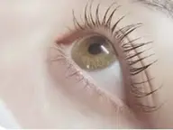 【平日限定】まつげパーマ ¥3,960 🫧