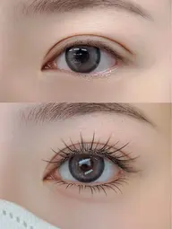 [フラットラッシュ] 超軽量 高持続力 100本✨初回オフ無料(束感美容液付き)