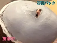 (石膏パック)他エステメニューと同時予約で¥1000off