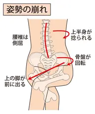 【産前産後の骨盤リセット】ゆがみケアでママの体を整える✨出産による骨盤のゆるみをやさしく整え、体の軸を取り戻しましょう！