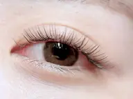 🦋【2週間以内限定】🦋LED60本付け足し※オフなし