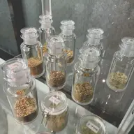 よもぎ蒸し(生薬5種類の中からお選びいただきます)