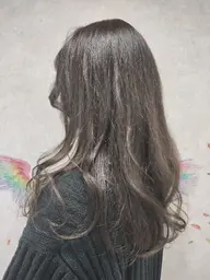 フルカラー + 2StepTr