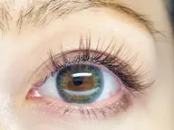 オールブラウン120本