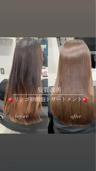 業界最強🔥🍎髪質改善りんご幹細胞トリートメント🍎＋カット＋超音波アイロン(シャンプーブロー込)