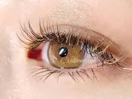 🌼全員【こだわり26色♪フルカラーエクステ】140本◆オードリーコレクション変更可