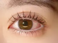 パリジェンヌラッシュリフト上下