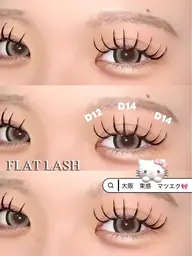 フラットラッシュ　つけ放題