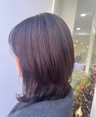 🫖レディースカット＋黒染めカラー＋トリートメント🪄🐈‍⬛🎀