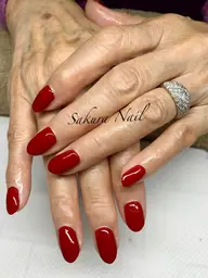 新規初回のみ オフなし限定ラメグラデーションまたはワンカラー✨✨ マグネット不可