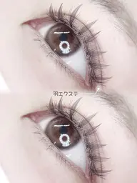 🐰LED羽エクステ両目12本まで【¥3,000】