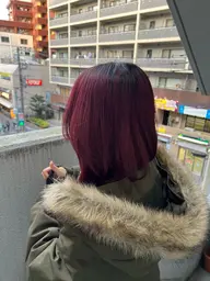 【再来】　フルカラー＋ブロー