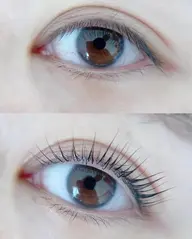 パリジェンヌ上＋下まつげ20本お得セット