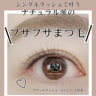【何度でも同価格】フラットラッシュ100本【上品に目を印象的にしたい方】