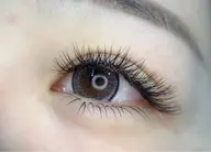 🦋YYボリュームラッシュ🦋120束(ボリューム480本相当)