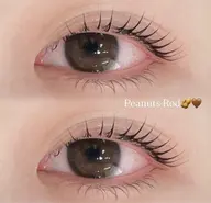 【🎀人気No.1🎀】韓国風束感まつ毛パーマ¥6,000→¥4,600