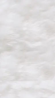 マツエクオフのみ🤍