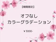 【期間限定】オフなし カラーグラデーション ¥3000