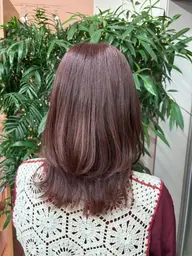 🌟ワンカラーのみ