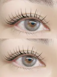 フラットラッシュ120本