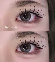 当日ご新規様限定🎀✧︎*。フラットラッシュ【140本￥4,990 160本¥5,500】【オフ別途】