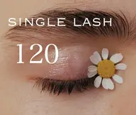 〖エアーミンク120本〗🥣セーブルorフラット変更可能 ※詳細確認必須