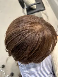 🟢白髪ぼかし🟢メテオカラー