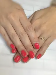 【ご新規】パラジェル ハンド ワンカラー