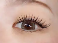 【バインドロックより自然な仕上がり】🌱ナチュラルバインドロック80束🌱オフあり