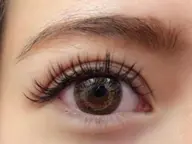 ＊新規＊国産最高級セーブル160本