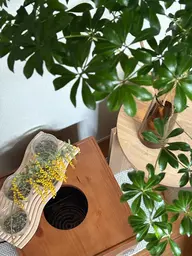 【人気No.2】初回20%OFF＼ガチガチ肩解消／漢方よもぎ蒸し（足浴付）30分＋お疲れ部分リンパマッサージ30分60分