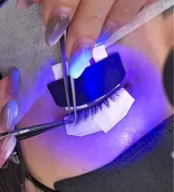 《最新LED導入》フラットラッシュ100本（オフ込み）