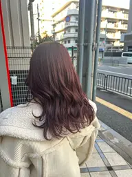 ダブルカラー🪸