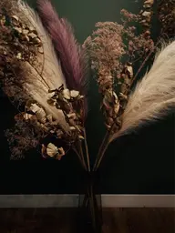 【女性限定急募】4月16日10時​〜​無料研修モデル様募集🌷全身脱毛(顔・vio込み)