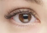 LEDボリュームラッシュ 120束(360本) オフ込み