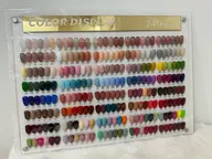 【チップ長さだし】ワンカラー(3色まで)💫